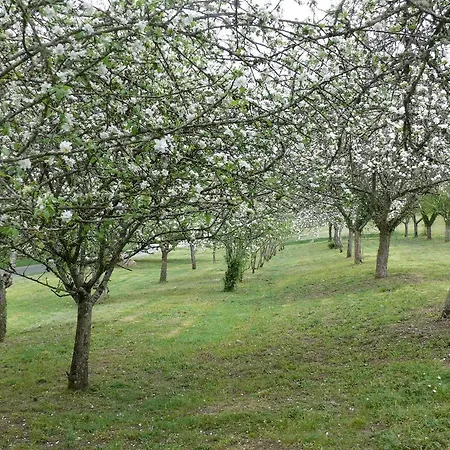 Domaine De Lamassas Bed & Breakfast Hautefage-la-Tour